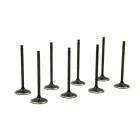 RCM Uprated Version 5+ Inlet Valve