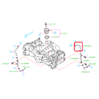 Subaru OEM Oil Cooler Hose - 807609071 (15+ WRX, 14-18 FXT)