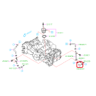 Subaru OEM Oil Cooler Hose - 807609061 (15-21 WRX, 14-18 FXT)