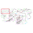 Subaru OEM Hose Assembly - 22310AC330 (05-06 LGT/OBXT)