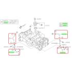 Subaru OEM Oil Cooler Hose Kit (19-21 WRX)