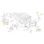 Subaru OEM Complete Coolant Hose Kit (15 WRX - CVT)