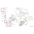 Subaru OEM PCV Hose Kit (15-16 STI)