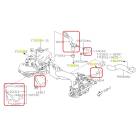 Subaru OEM PCV Hose Kit (17-21 STI)