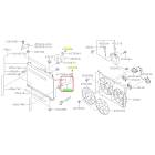 Subaru OEM Radiator Hose - Outlet (19+ Ascent)