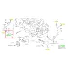 Subaru OEM Complete Coolant Hose Kit (19-24 Ascent)