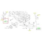 Subaru OEM Complete Coolant Hose Kit (24+ Ascent)