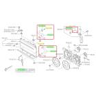 Subaru OEM Radiator Hose Kit (15-19 Legacy - 25B)