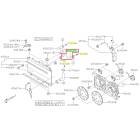 Subaru OEM Radiator Hose - 45161AL100 (15-19 Legacy - 36D)