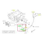 Subaru OEM Water Pump Hose Kit (15-19 Legacy - 36D)