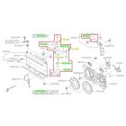 Subaru OEM Radiator Hose Kit (15-19 Legacy - 36D)