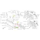 Subaru OEM Radiator Hose - Outlet (20-25 Legacy - 25D)