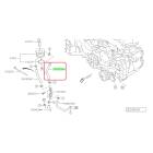 Subaru OEM Oil Cooler Hose - 99083AA881 (22+ BRZ)