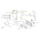 Subaru OEM Radiator Hose - 45161FL000 (18-19 Crosstrek - 20D)