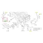 Subaru OEM Water Pump Hose Kit (19-23 Crosstrek - 20D)