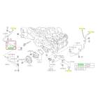 Subaru OEM Water Pump Hose Kit (21-23 Crosstrek - 25D)