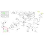 Subaru OEM Water Pump Hose Kit (24+ Crosstrek - 25D)