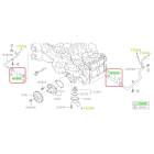 Subaru OEM Complete Coolant Hose Kit (17-18 Forester - 25B)