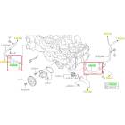 Subaru OEM Complete Coolant Hose Kit (14-18 Forester XT)