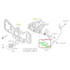 Subaru OEM Water Pump Hose Kit (05-09 Outback - 30D)