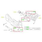 Subaru OEM Oil Cooler Hose Kit (05-09 Outback - 30D)