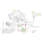 Subaru OEM Complete Coolant Hose Kit (10-14 Outback - 36D)
