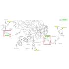 Subaru OEM Complete Coolant Hose Kit (15-19 Outback - 25B)