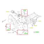 Subaru OEM Oil Cooler Hose Kit (15-19 Outback - 36D)