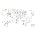 Subaru OEM Water Pump Hose Kit (20-25 Outback - 25D)