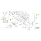 Subaru OEM Water Pump Hose Kit (20-25 Outback - 24F)