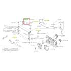 Subaru OEM Radiator Hose - Inlet (17-23 Impreza)