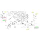 Subaru OEM Complete Coolant Hose Kit (17-23 Impreza)