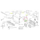Subaru OEM Radiator Hose - Outlet (24+ Impreza - 20D)