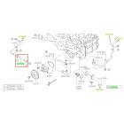 Subaru OEM Water Pump Hose Kit (24-25 Impreza - 20D)