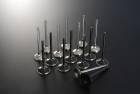 Tomei Race Spec +1mm Valve Set (04-21 STI, 02-14 WRX)