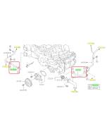 Subaru OEM Complete Coolant Hose Kit (19-21 WRX - 6MT)