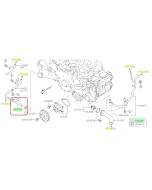 Subaru OEM Complete Coolant Hose Kit (23+ WRX - CVT)