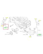 Subaru OEM Complete Coolant Hose Kit (24+ Ascent)