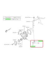 Subaru OEM Complete Coolant Hose Kit (05-09 Legacy - 253)