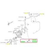 Subaru OEM Complete Coolant Hose Kit (10-12 Legacy - 253)