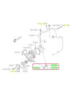 Subaru OEM Complete Coolant Hose Kit (10-12 LGT)