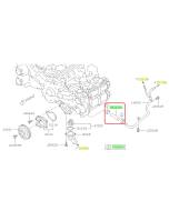 Subaru OEM Complete Coolant Hose Kit (13-14 Legacy - 25B)