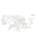 Subaru OEM Complete Coolant Hose Kit (15-19 Legacy - 25B)