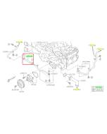 Subaru OEM Complete Coolant Hose Kit (20-25 Legacy - 25D)