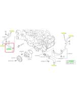 Subaru OEM Complete Coolant Hose Kit (20-25 Legacy - 24F)