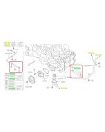 Subaru OEM Complete Coolant Hose Kit (15-17 Crosstrek - MT)