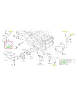 Subaru OEM Complete Coolant Hose Kit (18-19 Crosstrek - 20D)