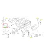 Subaru OEM Complete Coolant Hose Kit (19-23 Crosstrek - 20D)