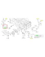 Subaru OEM Complete Coolant Hose Kit (21-23 Crosstrek -25D)