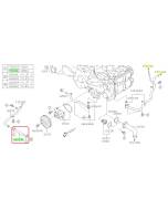 Subaru OEM Complete Coolant Hose Kit (24+ Crosstrek - 25D)